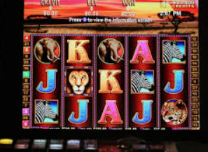 46倍狮子森林舞会2024最新版